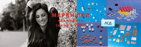стафф Снежногорск