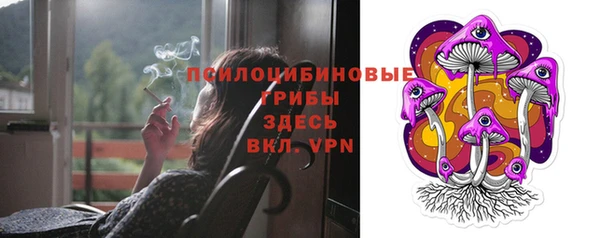 твердый Слюдянка