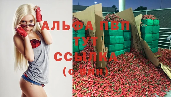 стафф Снежногорск