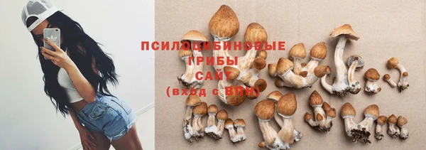 твердый Слюдянка