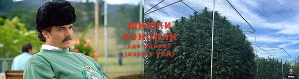 стафф Снежногорск