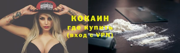 молекула духа Семилуки