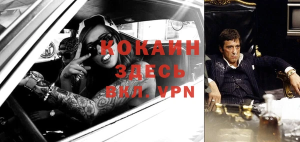 молекула духа Семилуки